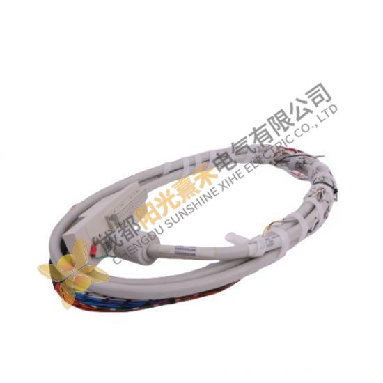 Siemens 16137-116 Moore I/O Cable