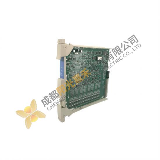 Honeywell 80363975-100 Digital Output Module