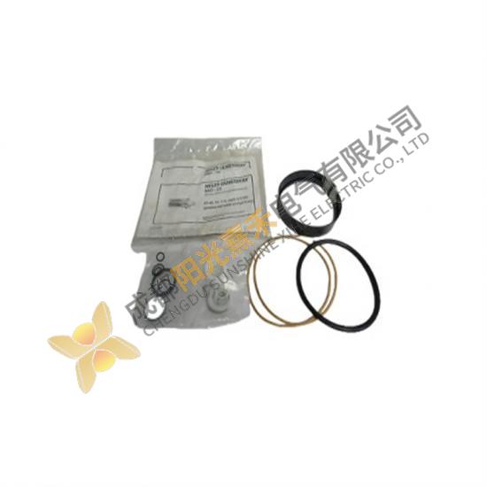 Jamesbury Actuator Repair Kit IMO-22