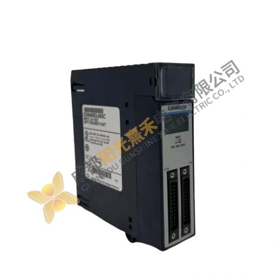 GE-FANUC IC694MDL655 Input Module