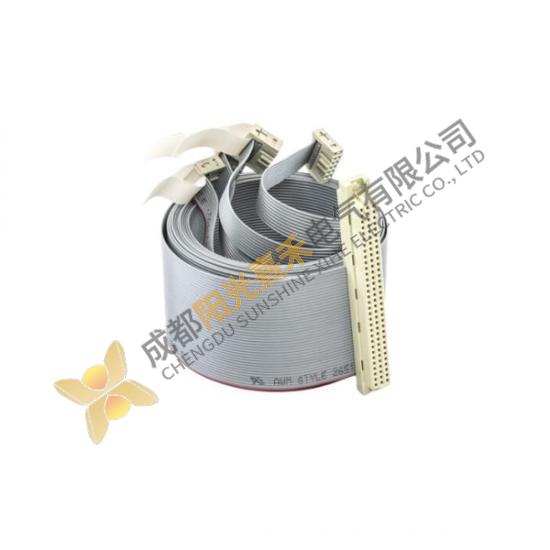 ABB DSTK165 26390603-AN Ribbon Cable; Manufacturer: ABB