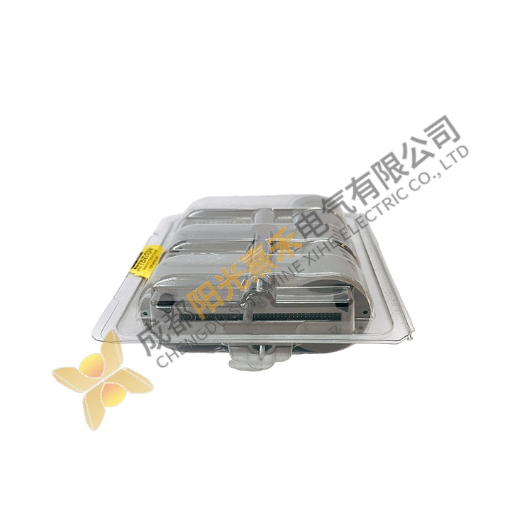 CC Control Systems IP0101-51410056-175, Industrial Control Module