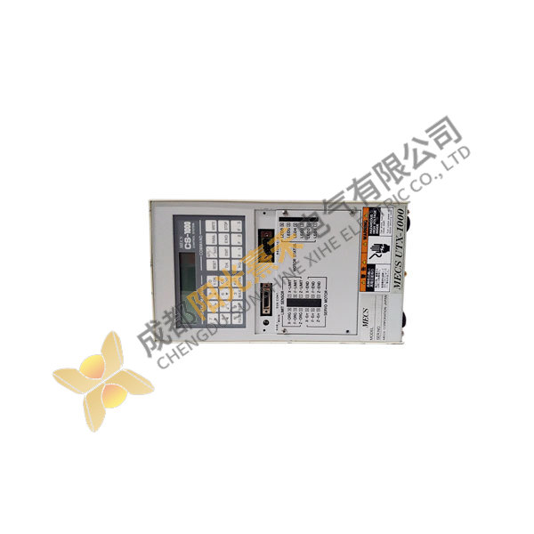 CS-1000 Ethernet System, Model XYZ123, Network Module