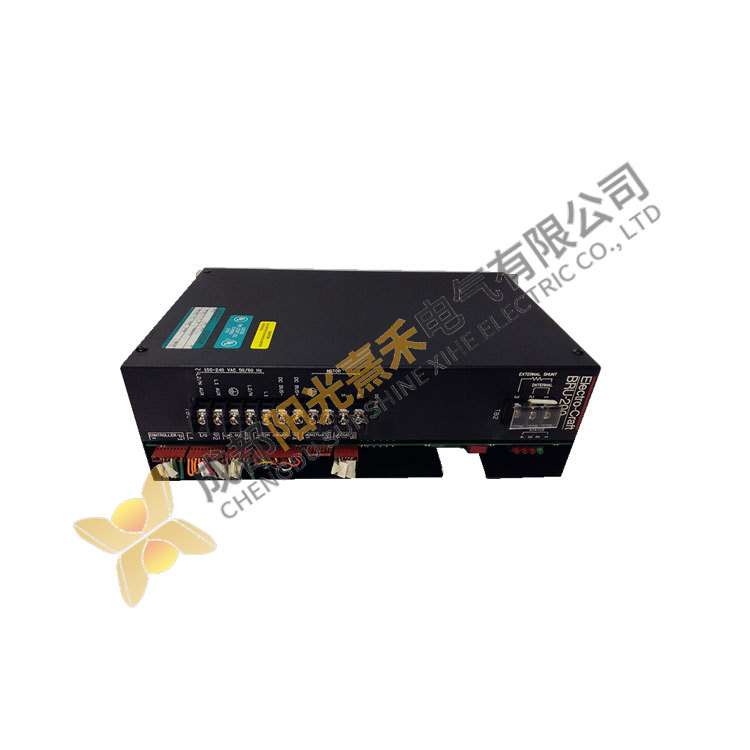 Reliance Electric DM-20D, 1-Phase BRU-200 Series B