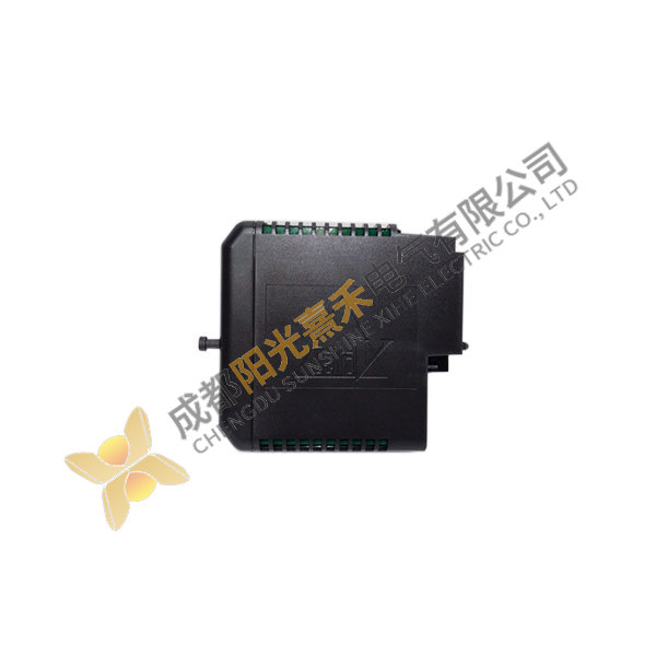 EMERSON VE4002S1T2B5: Industrial Control Module for Advanced Automation Solutions