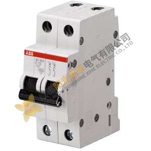 ABB Miniature Circuit Breaker SH202-D13 - Residential Protection Solution