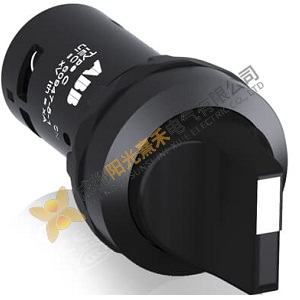 ABB C2SS2-10B-10: Compact Switch for Industrial Au