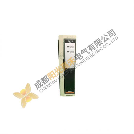 ABB Schneider Modicon AS-B875-002 (ASB875002) Analog Input Module