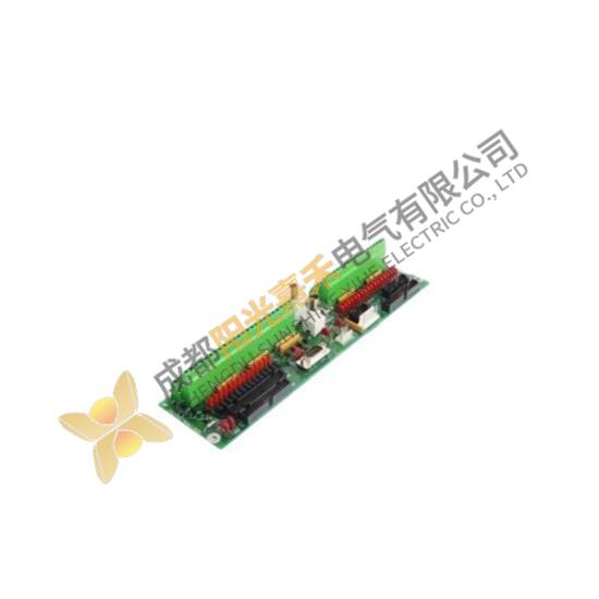 GE-FANUC DS200CTBAG1ACC Terminal Board