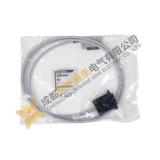 Foxboro P0970BP RS-423 Internal Cable Assembly