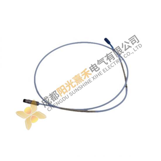 Bently Nevada Probe E2107/30/00/1/10 Extension Cable: Advanced Control Module for Precision Manufact