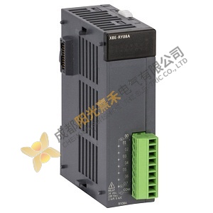 LS XBE-RY08A PLC Expansion I/O Module