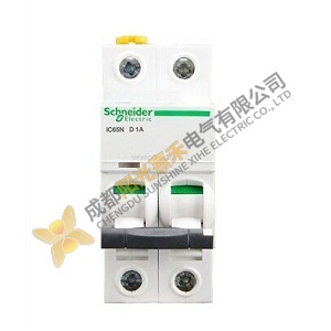 Schneider IC65N Circuit Breaker, 2 Pole, 50A - Industrial Control Solution