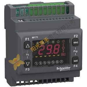 Schneider Electric TM171ODM22S: Advanced PLC Module for Industrial Automation