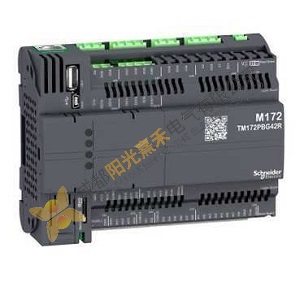 Schneider Electric's Advanced TM172PBG42R Modular PLC, for Industrial Automation Solutions