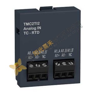 Schneider Electric TMC2TI2: Advanced Control Module for Industrial Automation