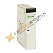 Schneider Premium Power Supply Module TSXPSY5520M - Reliable Energy for Industrial Automation