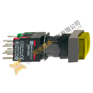 Schneider XB6DE5B5B - Advanced Illuminated Push Button for Industrial Automation