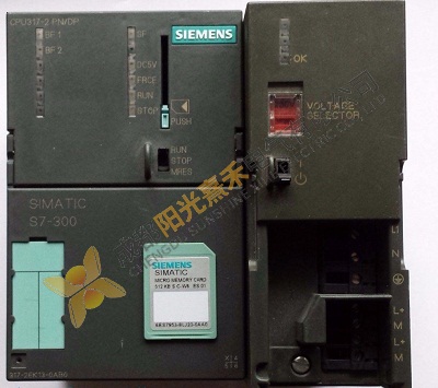 SIEMENS Simatic S7 300 CPU 317 2 PN DP Processing Unit PLC Module