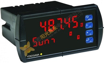 Yokogawa YPP6060, Dual-Input Process Meter, Remote Indicators, Automation Solutions